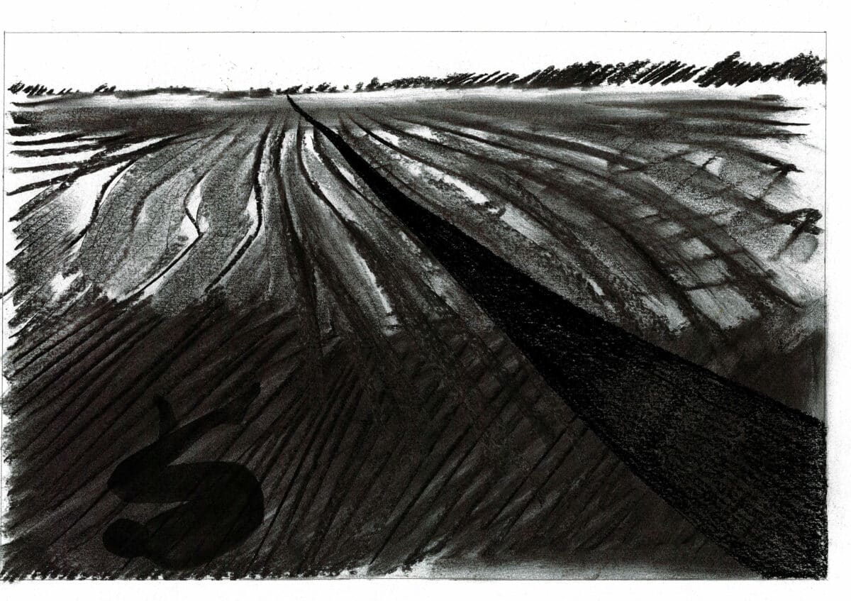 Useless Terrain: The Ballynagrenia and Ballinderry Bog – Drawing Matter