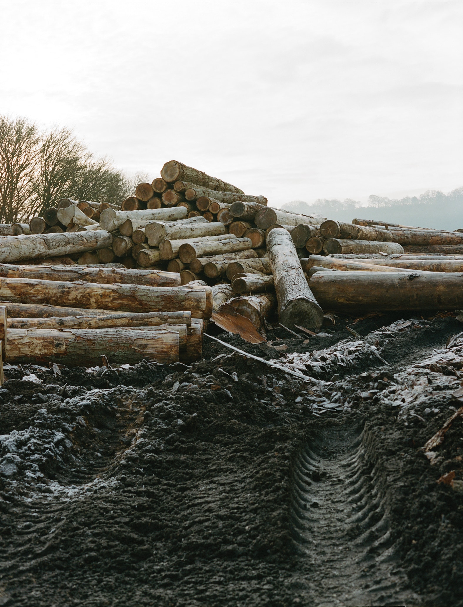 Material Reform, Building for a PostCarbon Future (2023) Review